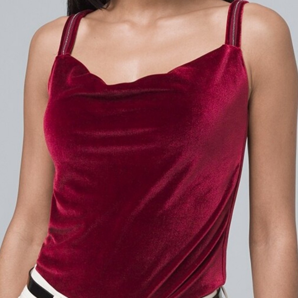 WHBM Velvet Drape Neck Tank Top